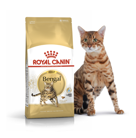Royal Canin Bengal 2 кг