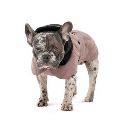 Pet Fashion Попона Max для собак M 2