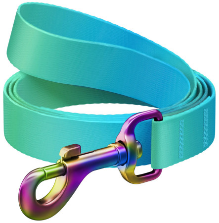 Повідець для собак WAUDOG Nylon Recycled блакитний градієнт, M, 20 мм, 122 см