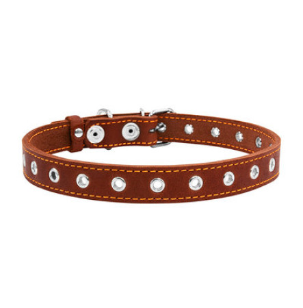 Нашийник для собак CoLLaR безрозмірний, коричневий, М, 50 см, 20 мм