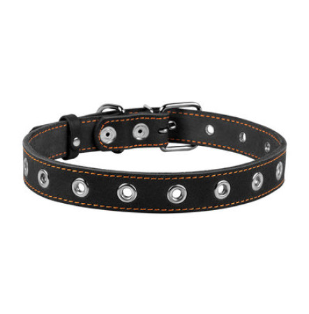 Нашийник для собак CoLLaR безрозмірний, чорний, М, 60 см, 25 мм