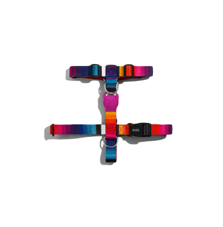 Zee.Dog Шлея для собак Prisma H-Harness S