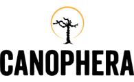 Canophera