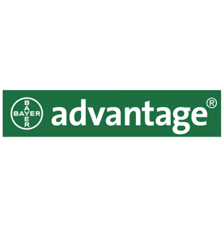 Advantage