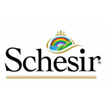Schesir